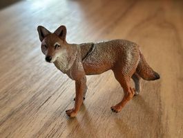 Safari Ltd. Kojote Sammelfigur