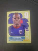 panini CPV 16