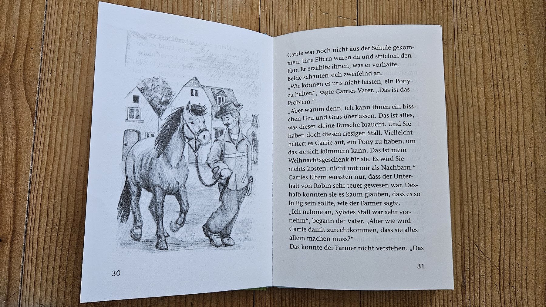 Libri: Ponyliebe auf den zweiten Blick – Usato da Bern venduto da Snowflake38 1