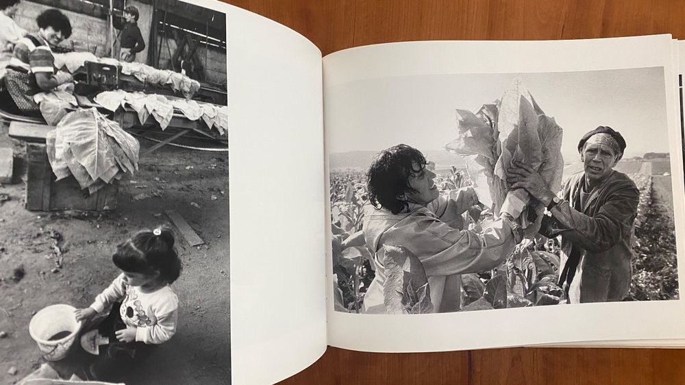 Femmes de la Terre fantastischer Fotoband Jacot et Gallaz (Gebraucht ...