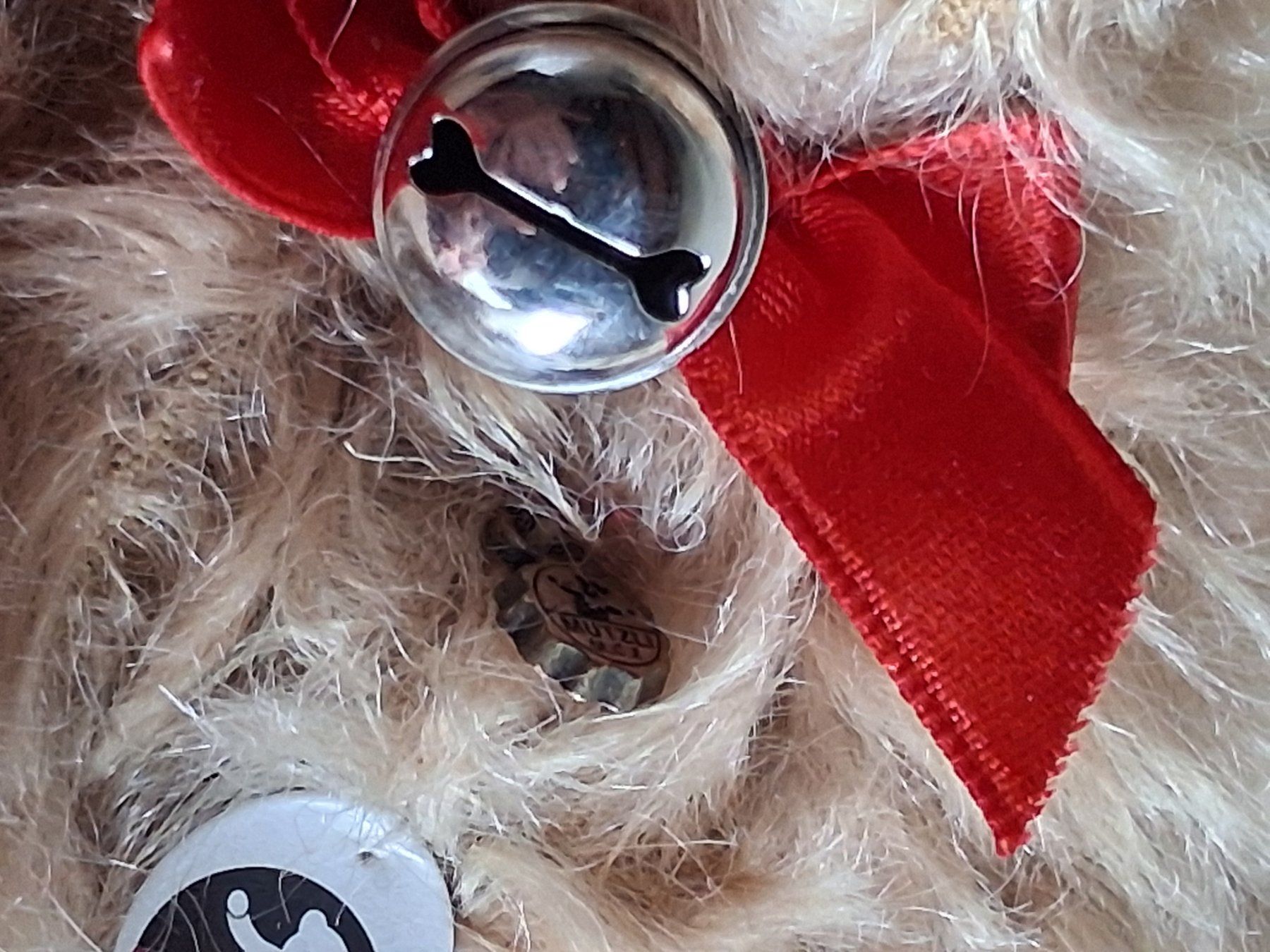 Bambole: Älteren Mutzli  Mini Teddybär mit der OVP – Nuovo e nell'imballaggio originale da Hagendorn venduto da siwasi3 4