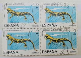 TRITON / TRITURUS MARMORATUS – VIERER BLOCK / BLOC À QUATRE