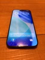 iPhone 15 Pro Max, 256GB, Akku 78%
