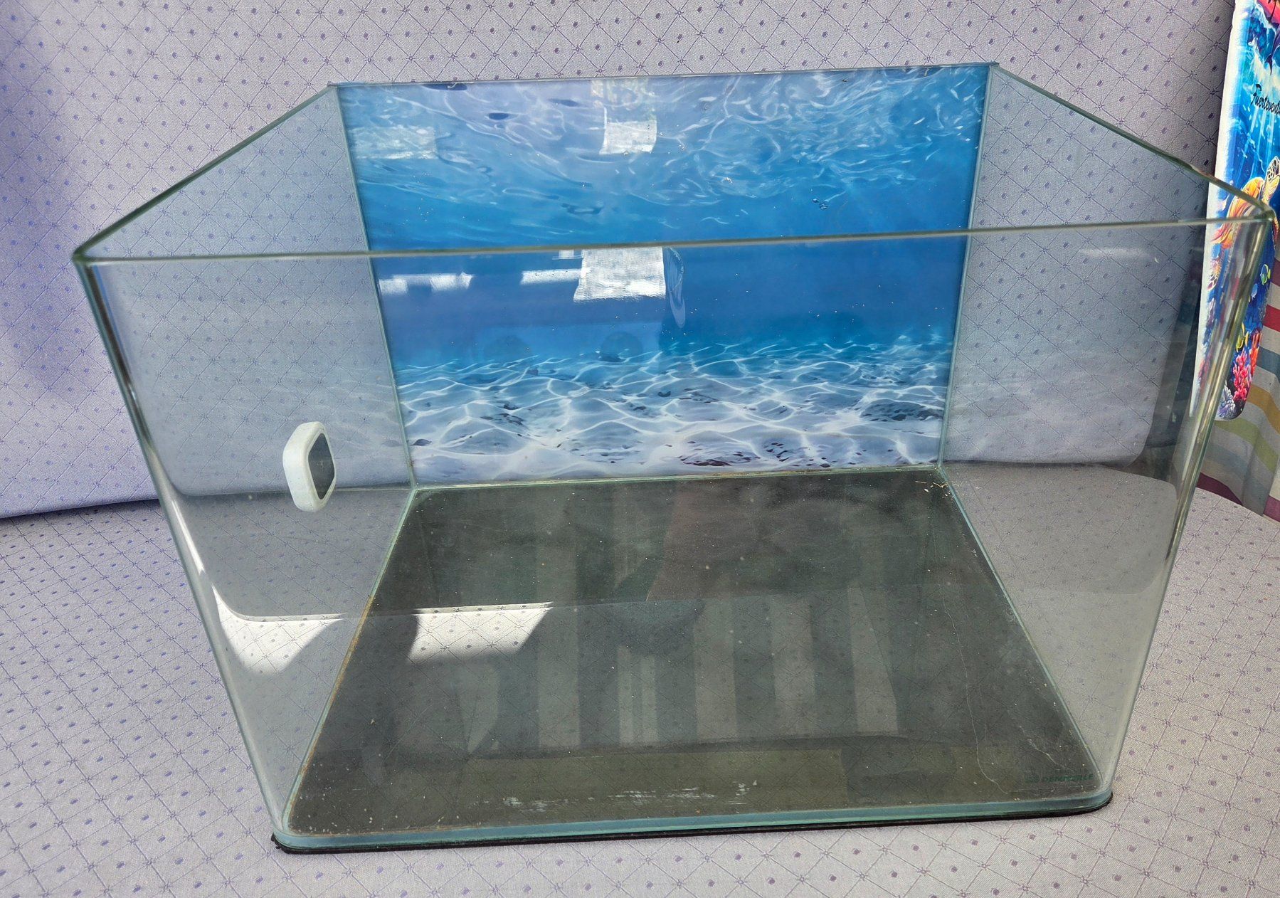 Dennerle Aquarium: Dennerle Aquarium 35 Liter – Gebraucht aus Zürich von Heidi69