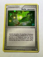 🔬✅ Trainer Herbe Sauvese 90/101 Holo Hidden Legends FR PL