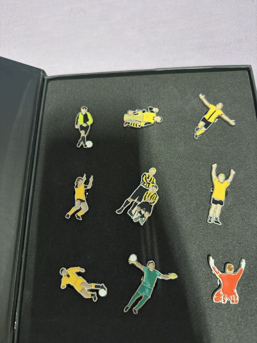 Plaketten & Abzeichen: Young Boys Forever Pins Kollektion – Gebraucht aus Ostermundigen von Boss127 2