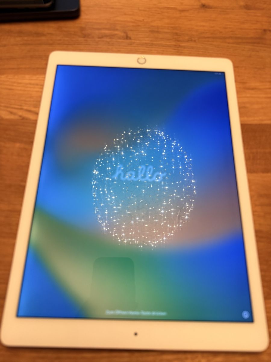 Apple Tablet PC: Ipad Pro 1. Generation  – Usato da Bonaduz venduto da Avenada