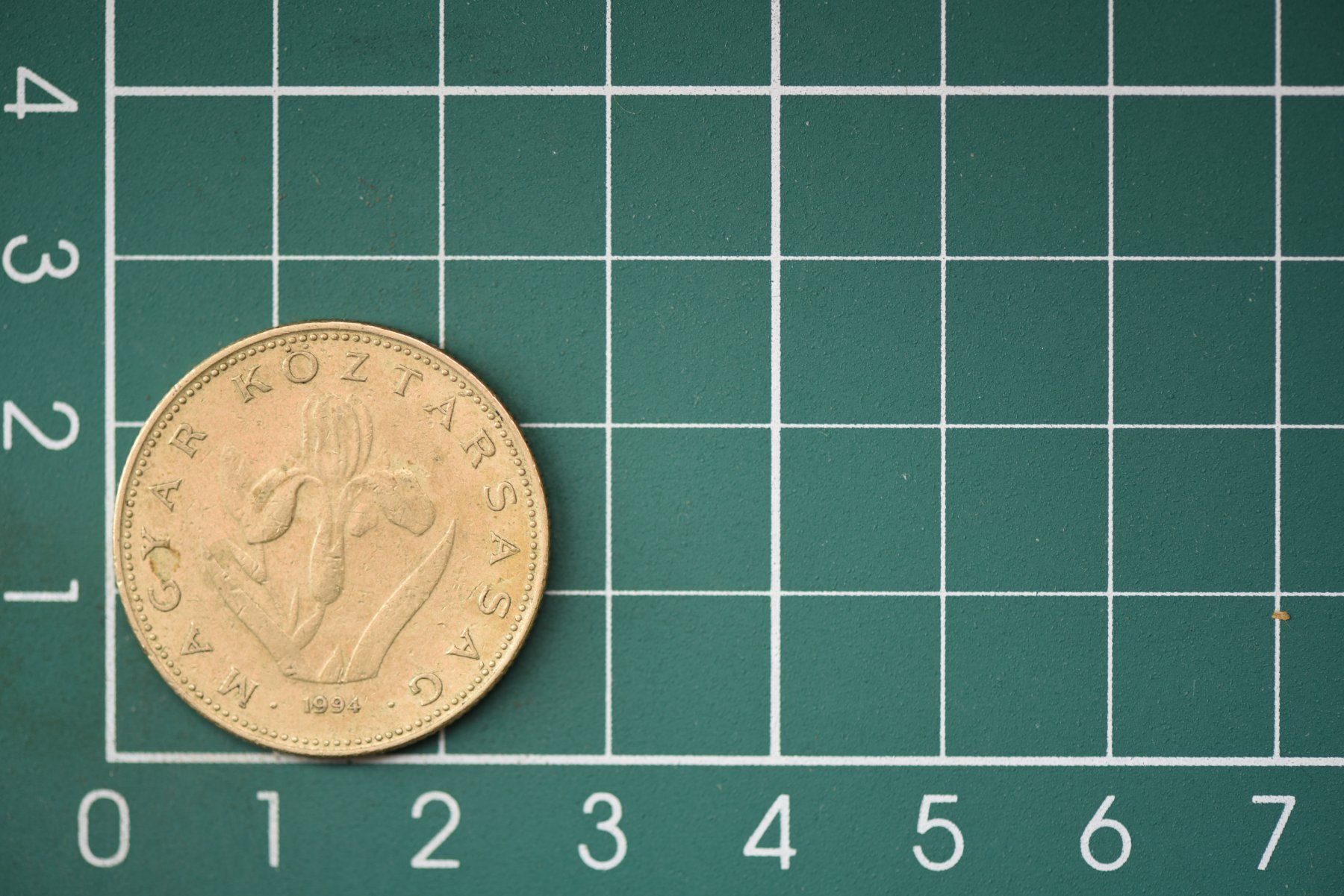 Tutti le monete: währung ungarn 20 forint 1994 – Usato da Laupen BE venduto da Gufi57