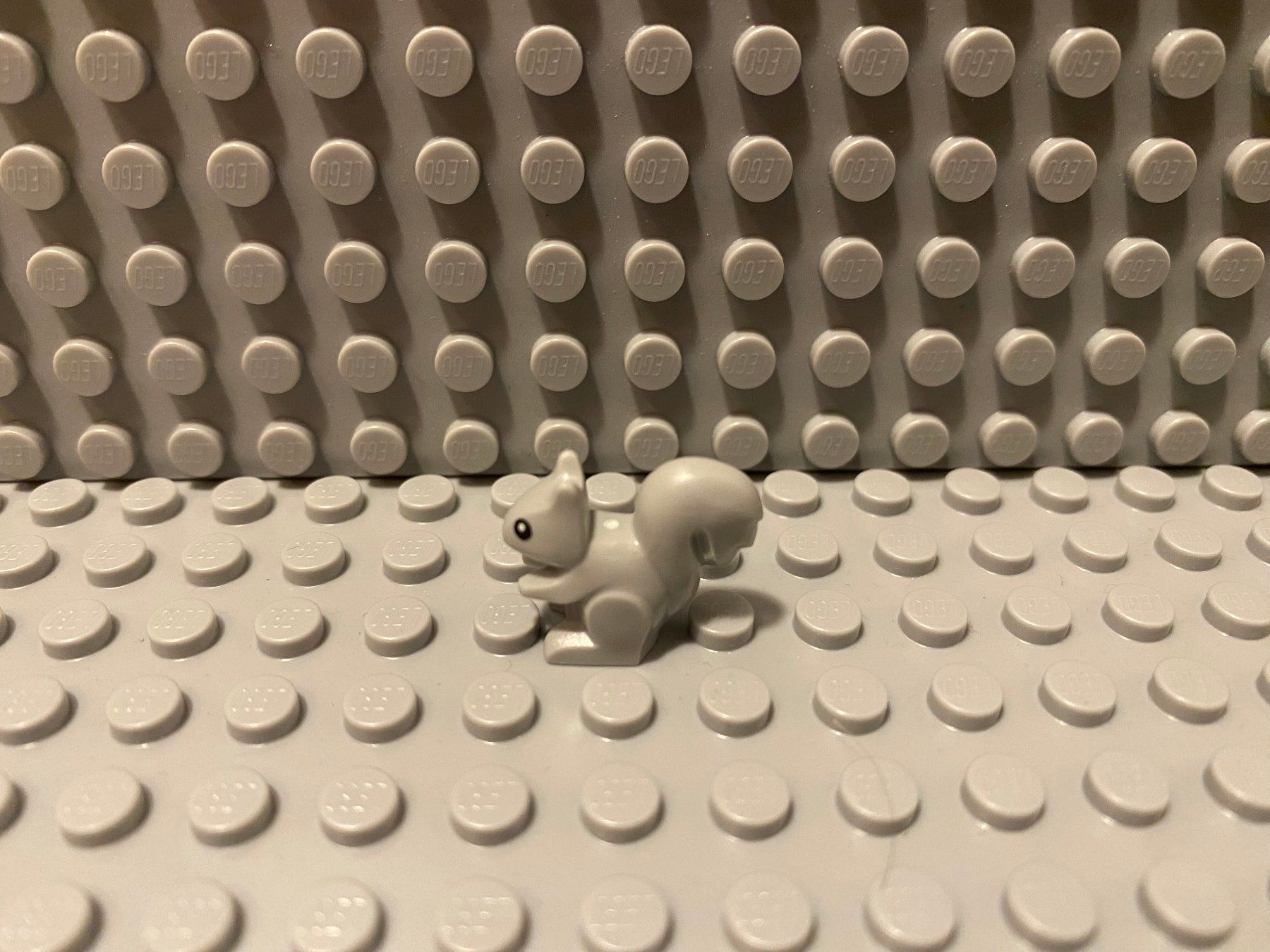 Lego Kit di costruzioni: Lego Tiere - Eichhörnchen grau – Nuovo (secondo la descrizione) da Horw venduto da G39517sG
