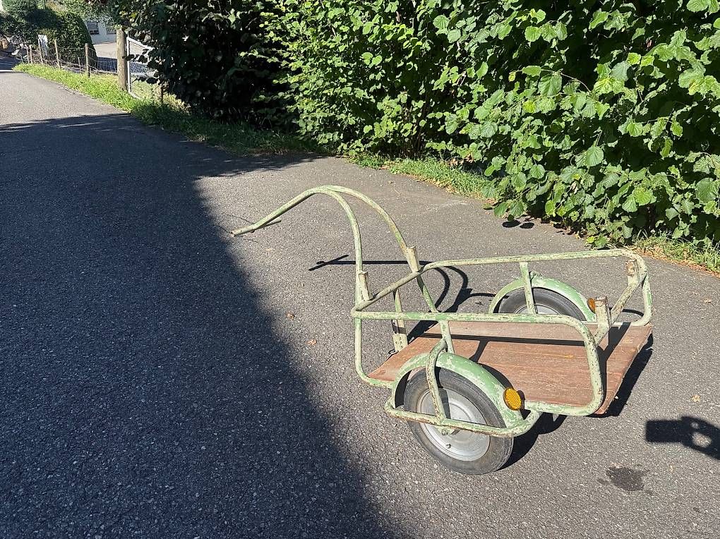 Remorques: Fahrradanhänger – D'occasion à Reitnau par Highcow67