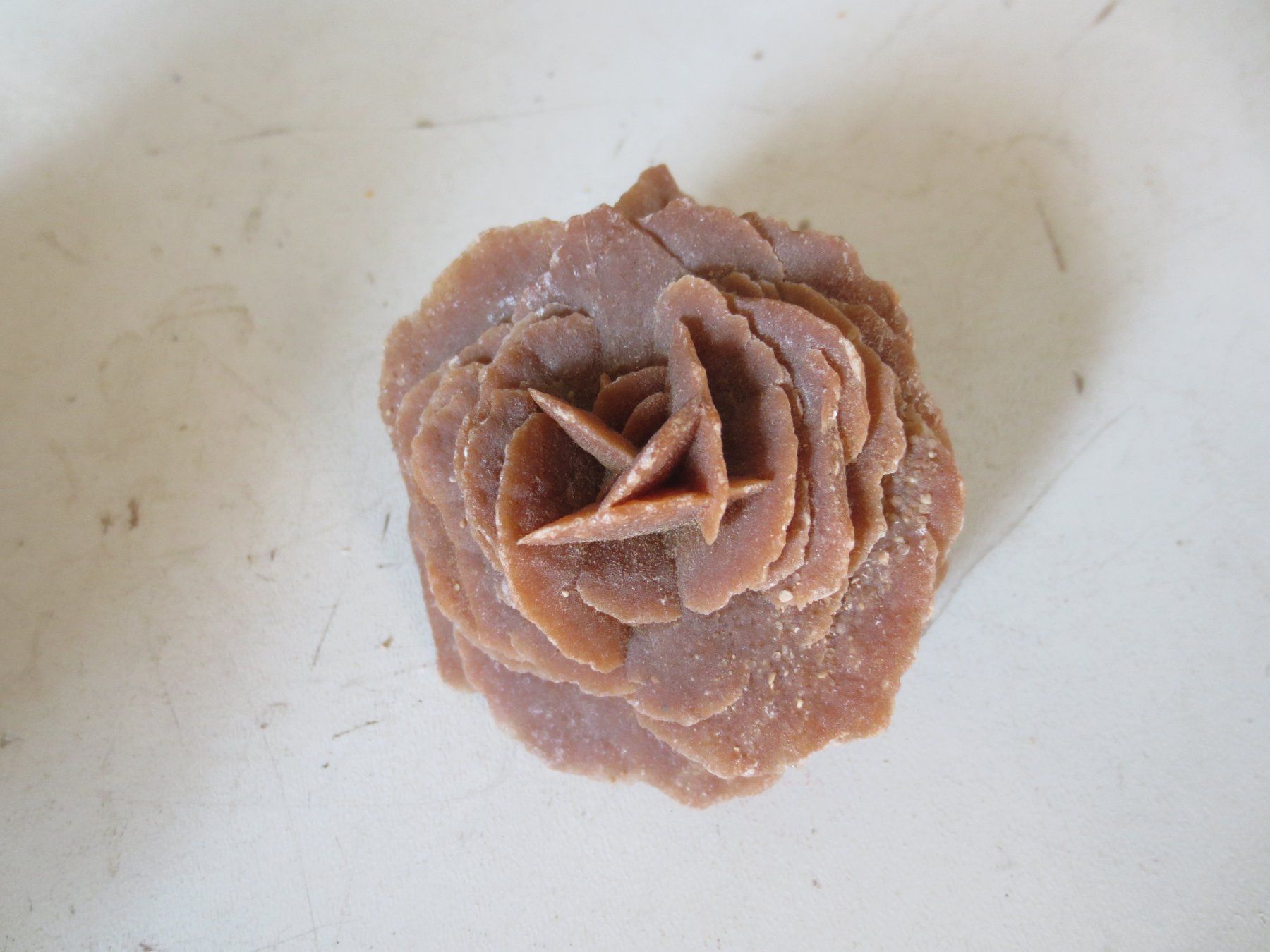 Mineralien & Heilsteine: Sandrose – Neu (gemäss Beschreibung) aus Weier im Emmental von waefler03 1