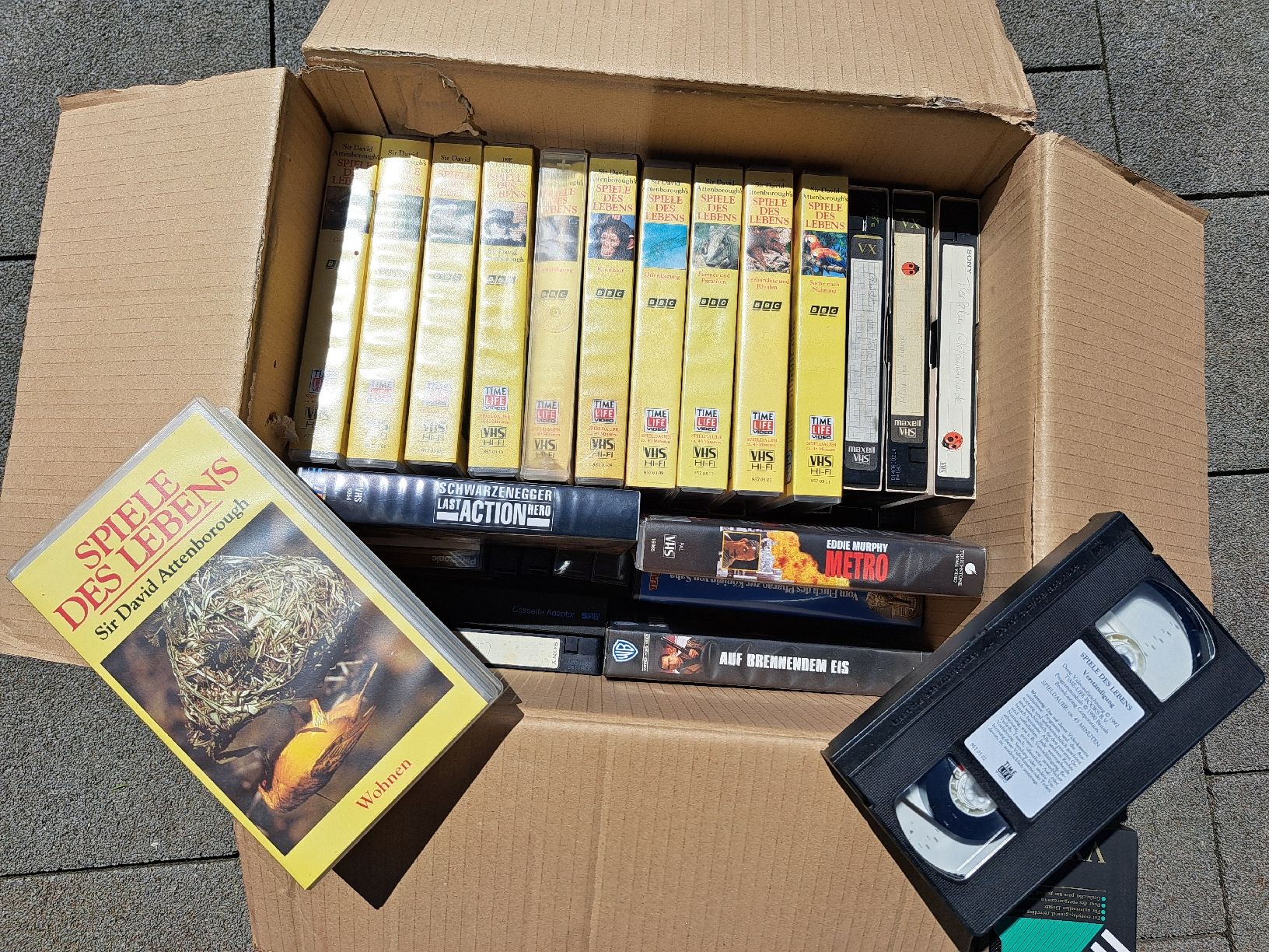 Tutti i VHS: Tierfilme – Usato da Gersau venduto da aebifan 1
