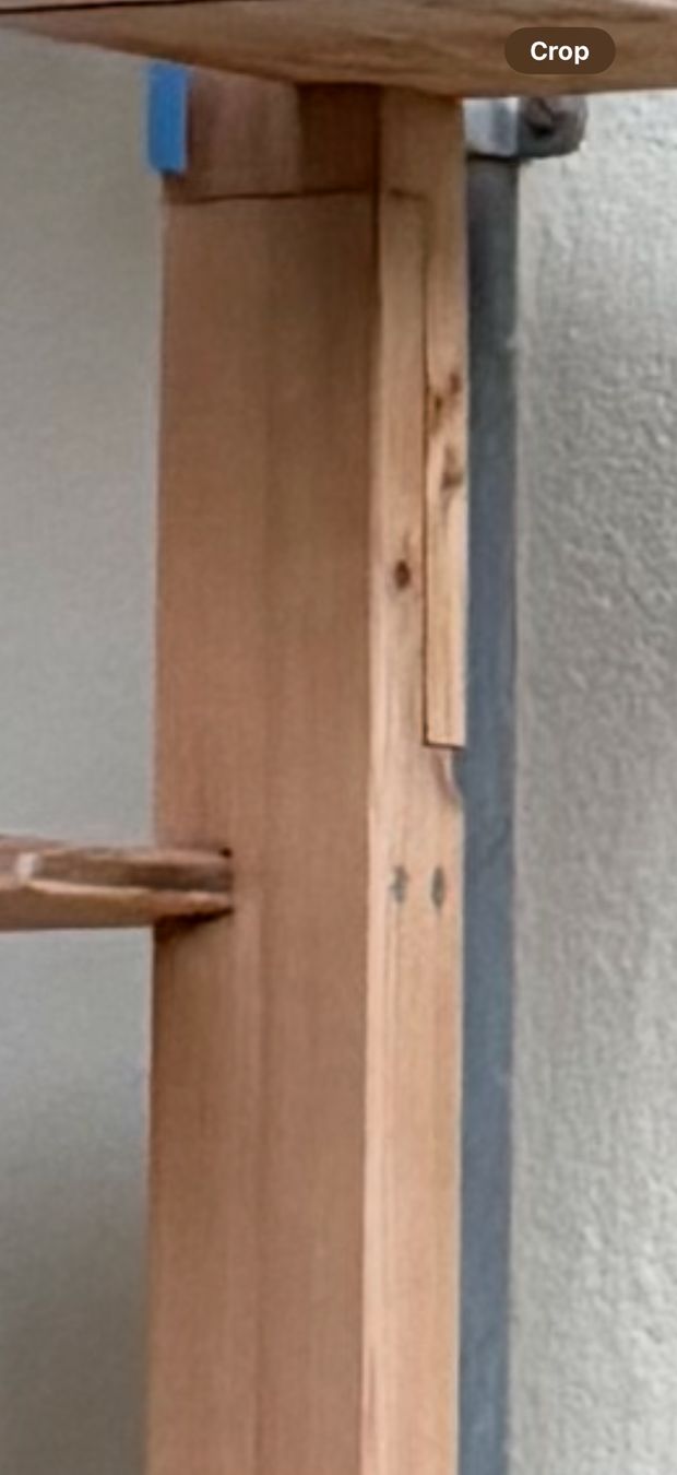 Echelles: Katzenleiter 3,8m Holz – D'occasion à Bern par leo_7xzq 2