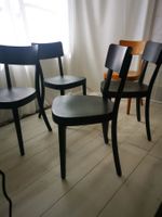 Horgen Glarus Classic Stühle – restauriert – 50 Stk
