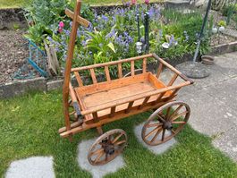 Leiterwagen Leiterwägeli