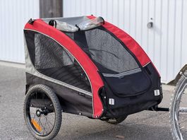 Remorque de vélo pour chien moyenne taille