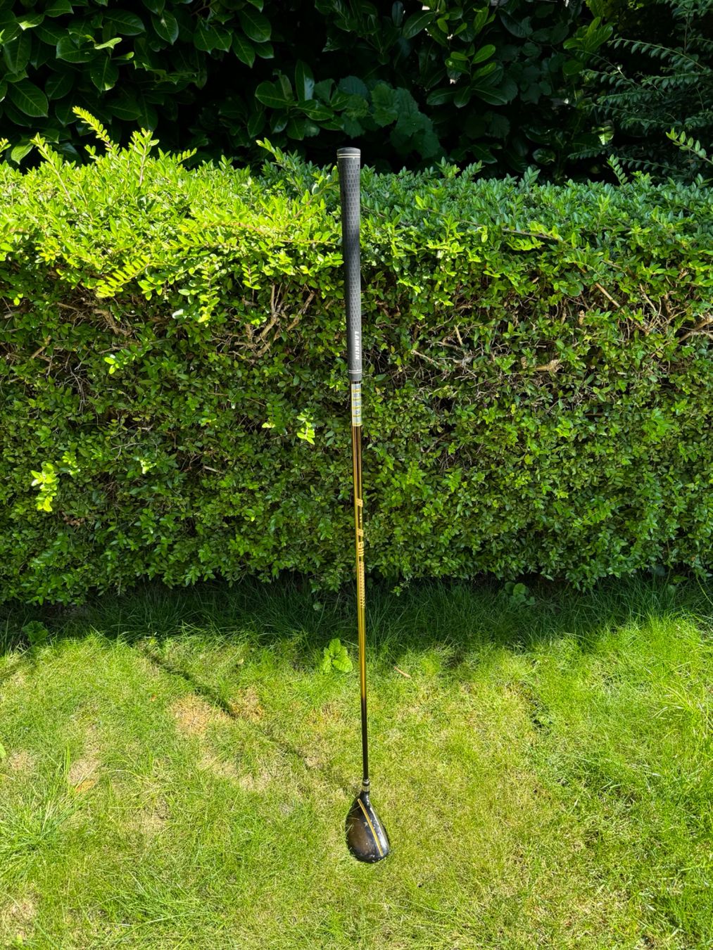 Mazze & Set: Clubs golf dame Daiwa – Usato da Genève venduto da flocon06 3