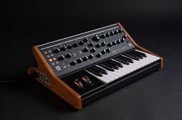 Moog Subsequent 25