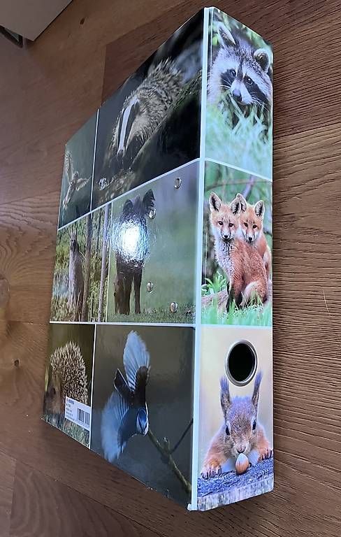 Raccoglitori: Ordner A4 mit tollen Motiven neu – Usato da Wigoltingen venduto da Tigerlilly