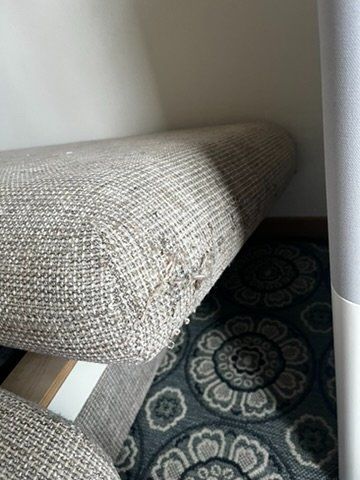 Divani: Pfister sofa mit stauraum / with storage – Usato da Zürich venduto da blomp 2