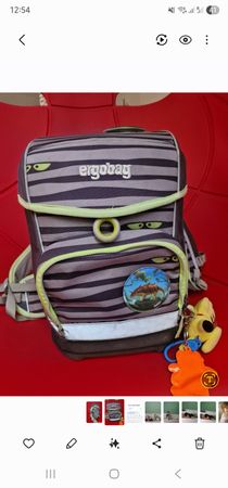 Ergobag Ranzen Schulranzen Dino Muster guter Zustand