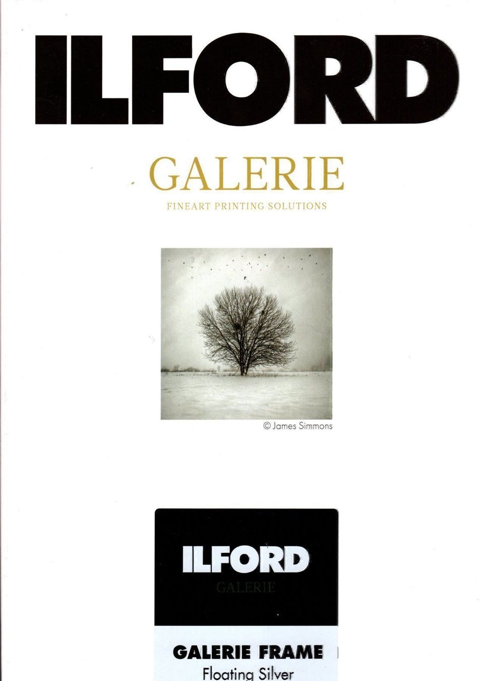 Cornici: Ilford Galerie Frames silver, DIN A4 – Nuovo e nell'imballaggio originale da Halden venduto da TopFoto