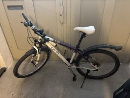 Scott Mountainbike Damen