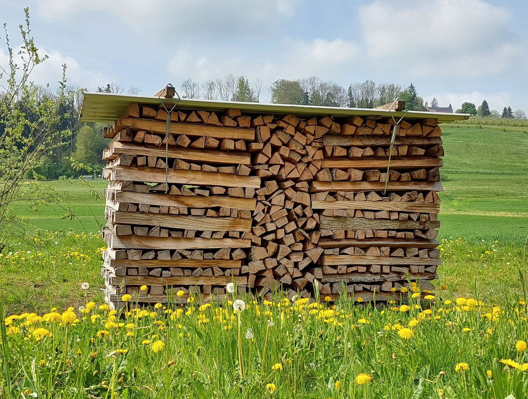 Holzartikel: Brennholz / Cheminéeholz – Neu (gemäss Beschreibung) aus Rossrüti von Radri