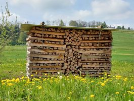 Brennholz / Cheminéeholz