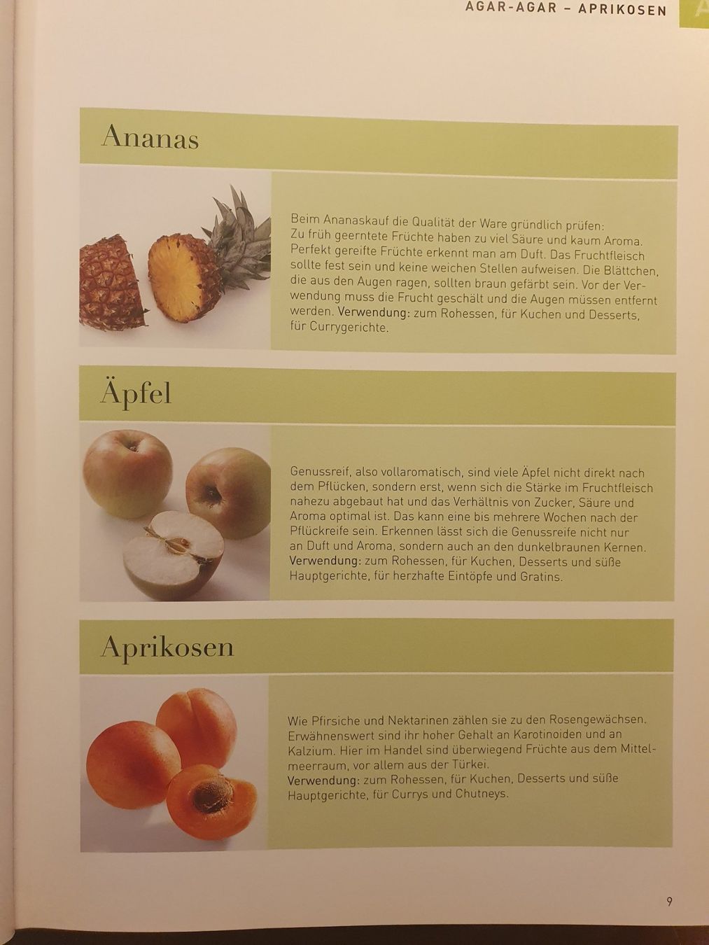 Libri: Das Teubner Handbuch Vegetarisch – Usato da Zürich venduto da dialout 6