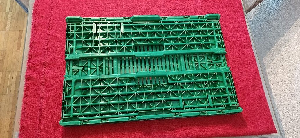Altro in Decorazioni & Accessori: Plastikbox grün – Usato da Pfäffikon ZH venduto da rst628 1