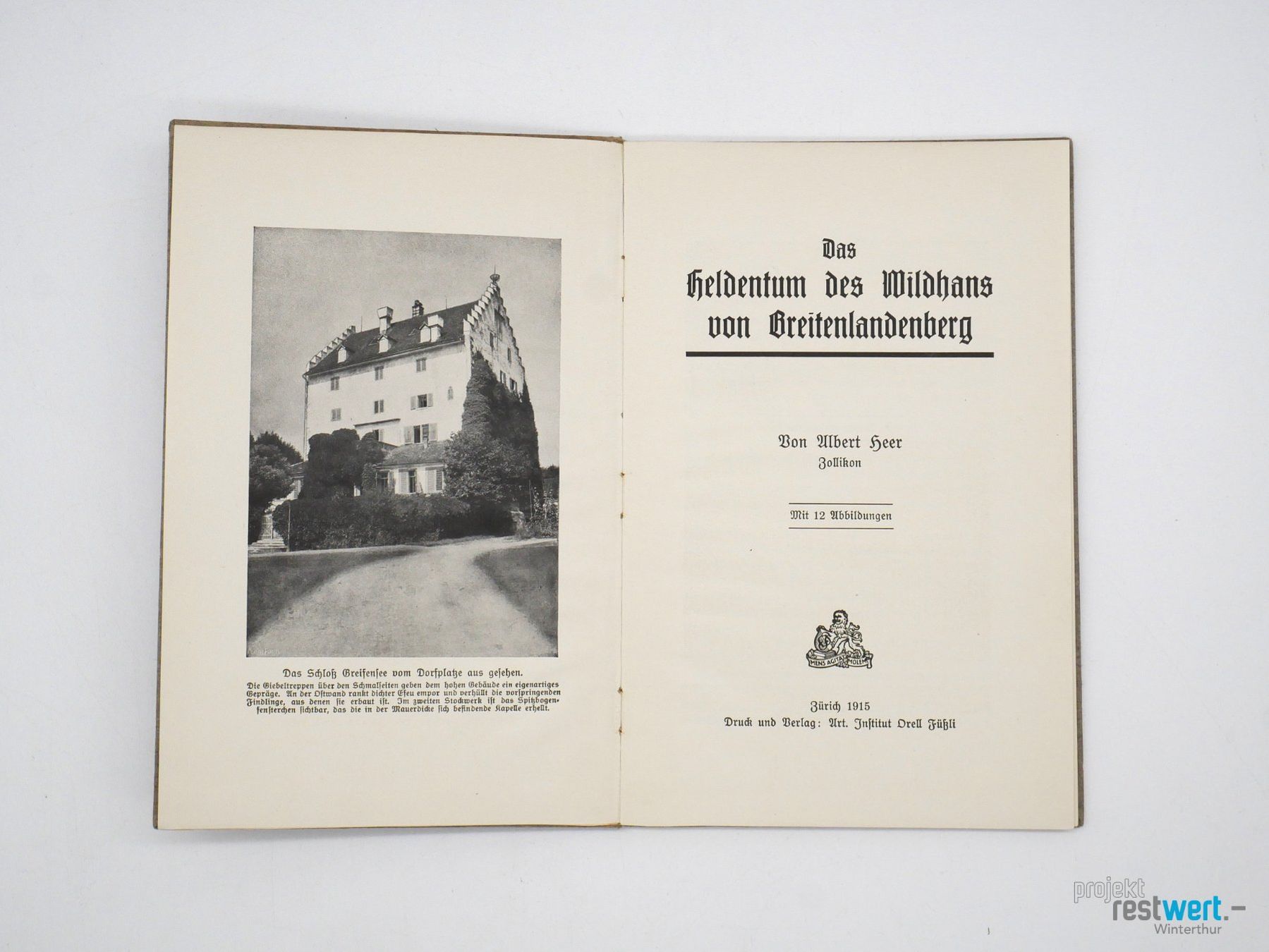 Libri: ALBERT HEER - Das Heidentum des Wildhans – Usato da Winterthur venduto da Restwert_Winterthur 1