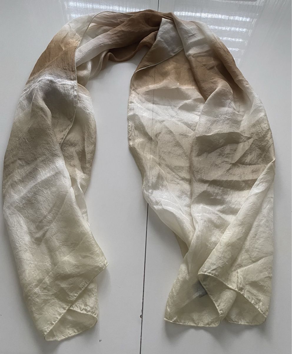 Foulards, Tücher & Schals: Passigatti Seiden Schal 🌸 – Gebraucht aus Opfikon von Luis144 4