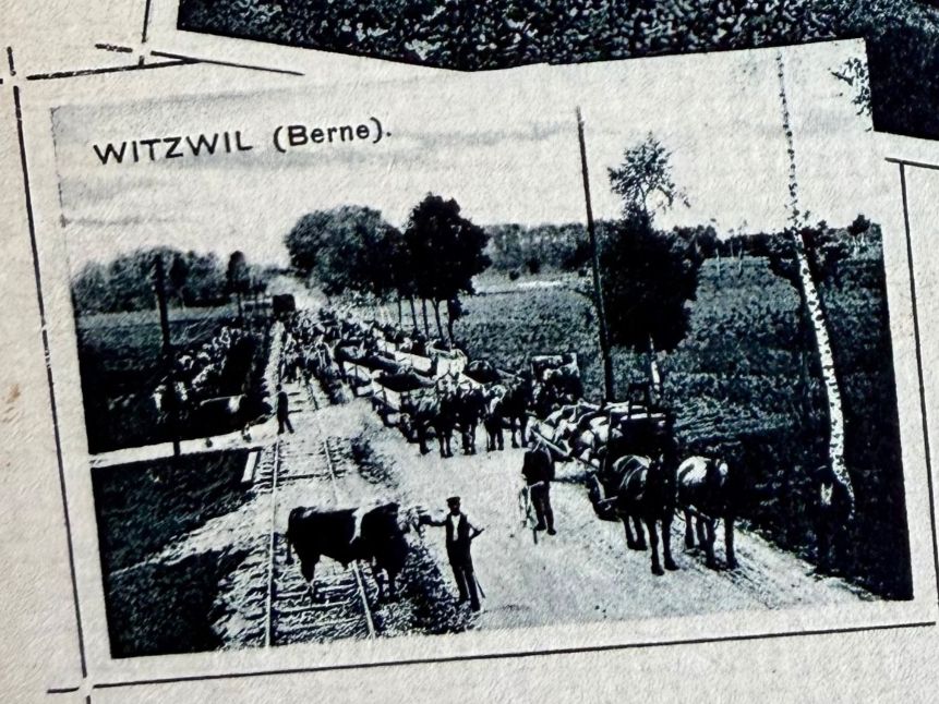 Cartoline postali: Witzwil - 1916... Schön ! – Usato da Lutry venduto da Ediego 1