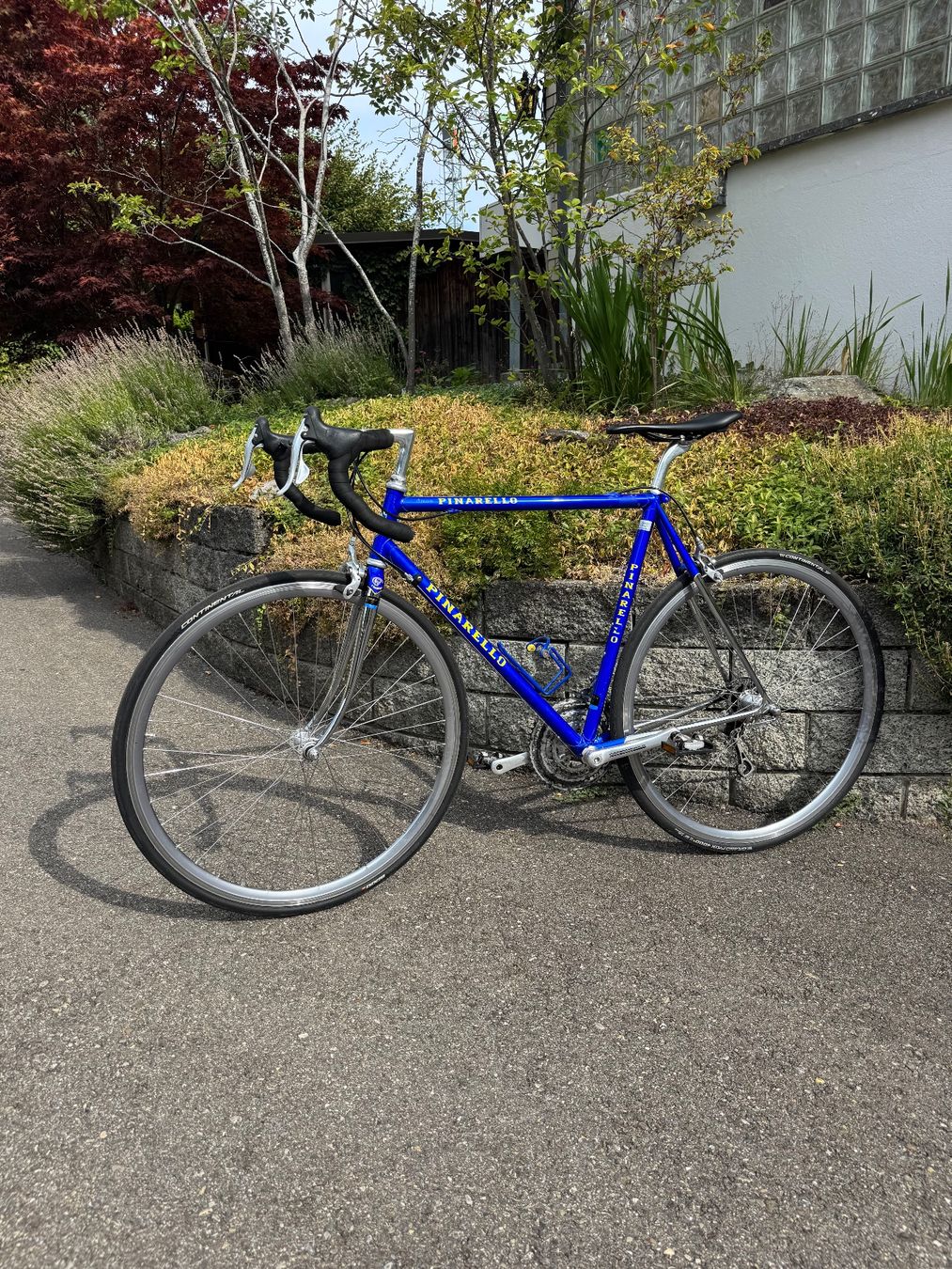 Biciclette: Pinarello Stelvio mit Campagnolo Komponenten – Usato da Berg SG venduto da cil_p8z9 8