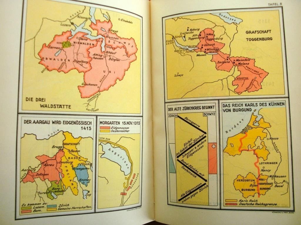 Libri: Welt + Schweizergeschichte – Usato da Grenchen venduto da Kogi7 9
