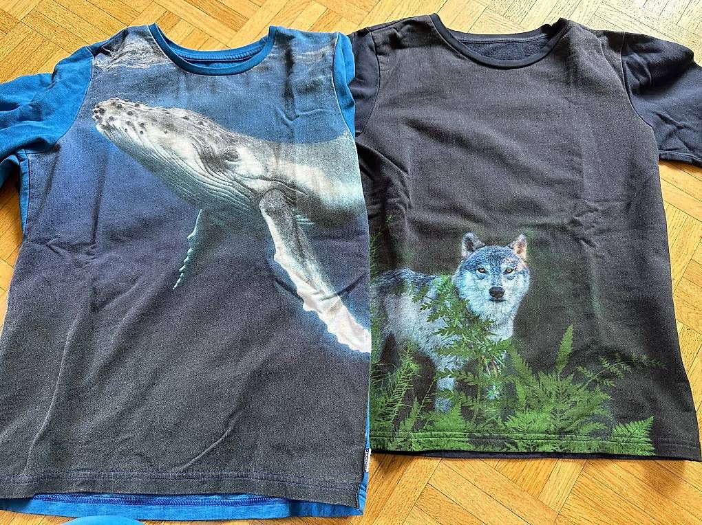 Maglioni & Felpe: Schöne Pullover, Jakoo und andere 146/152 – Usato da Zürich venduto da sta_dvk9 4