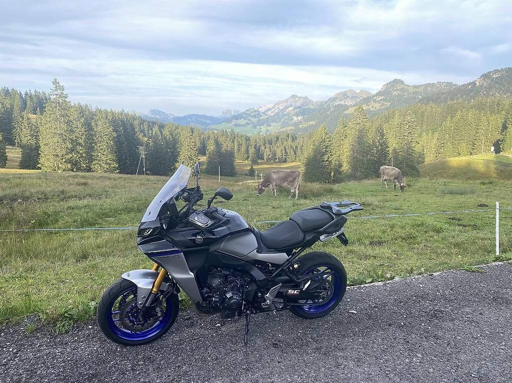Touring: Yamaha Tracer 9GT+ – Usato da Tremona venduto da aro_5p2r 4