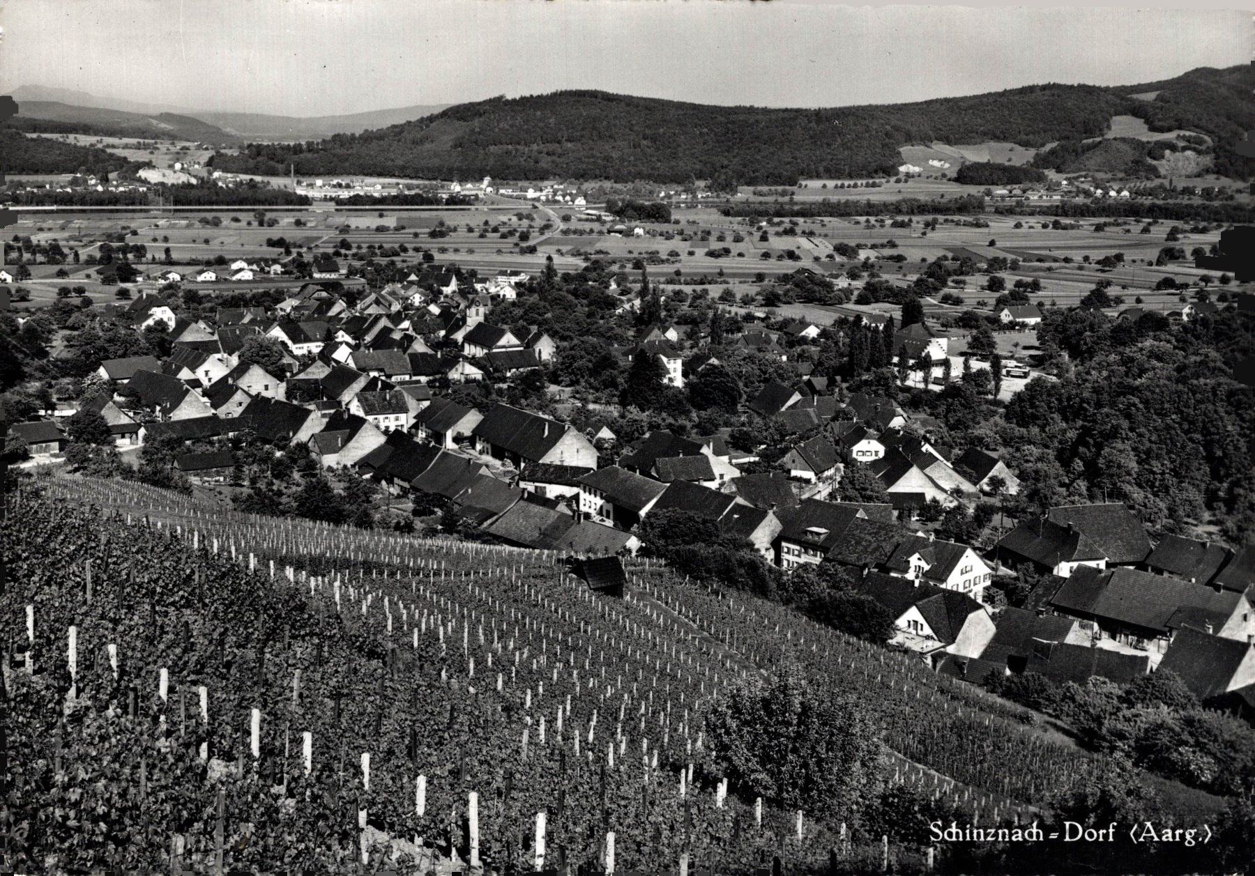 Cartoline postali: Schinznach - Dorf (Aarg.) – Usato da Bronschhofen venduto da Astore