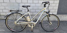 E-Bike Flyer T12 14 ,,25 Km/h" Next Generation M/50 cm