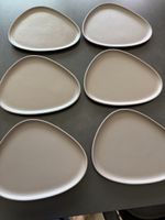6 linddna plates