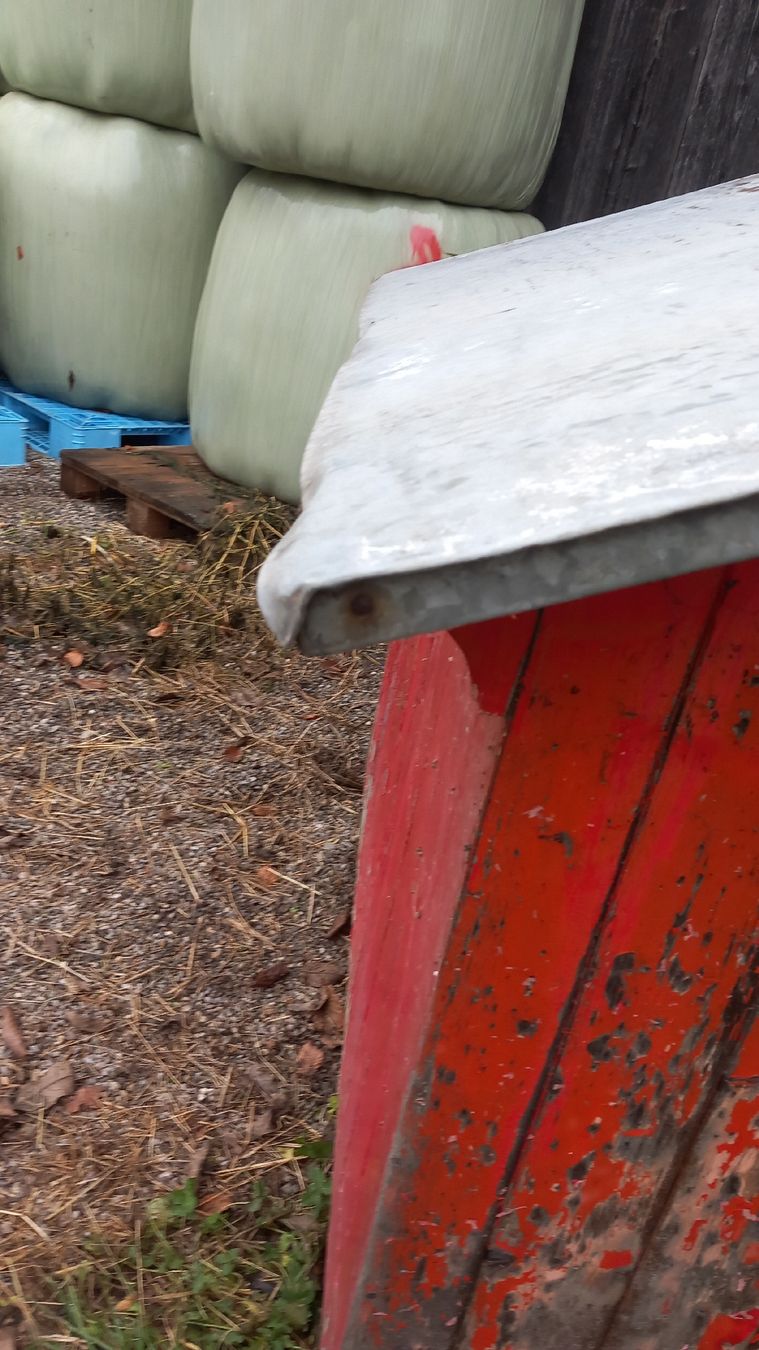 Cucce & Letti: Hundehütte  ,  Hasenstall  ? – Difettoso da Burgistein venduto da pender 5