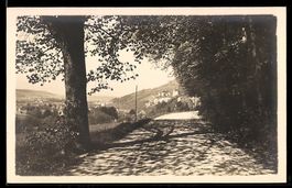 Foto-AK Aarburg, Baumgesäumte Strasse