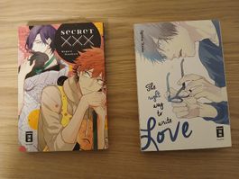 Manga Secret XXX & The right way to write Love auf Deutsch