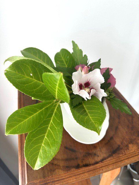 Pots de fleurs: bEpfLanZte SauCieRe – Neuf avec emballage d'origine à Winkel par zeho 2