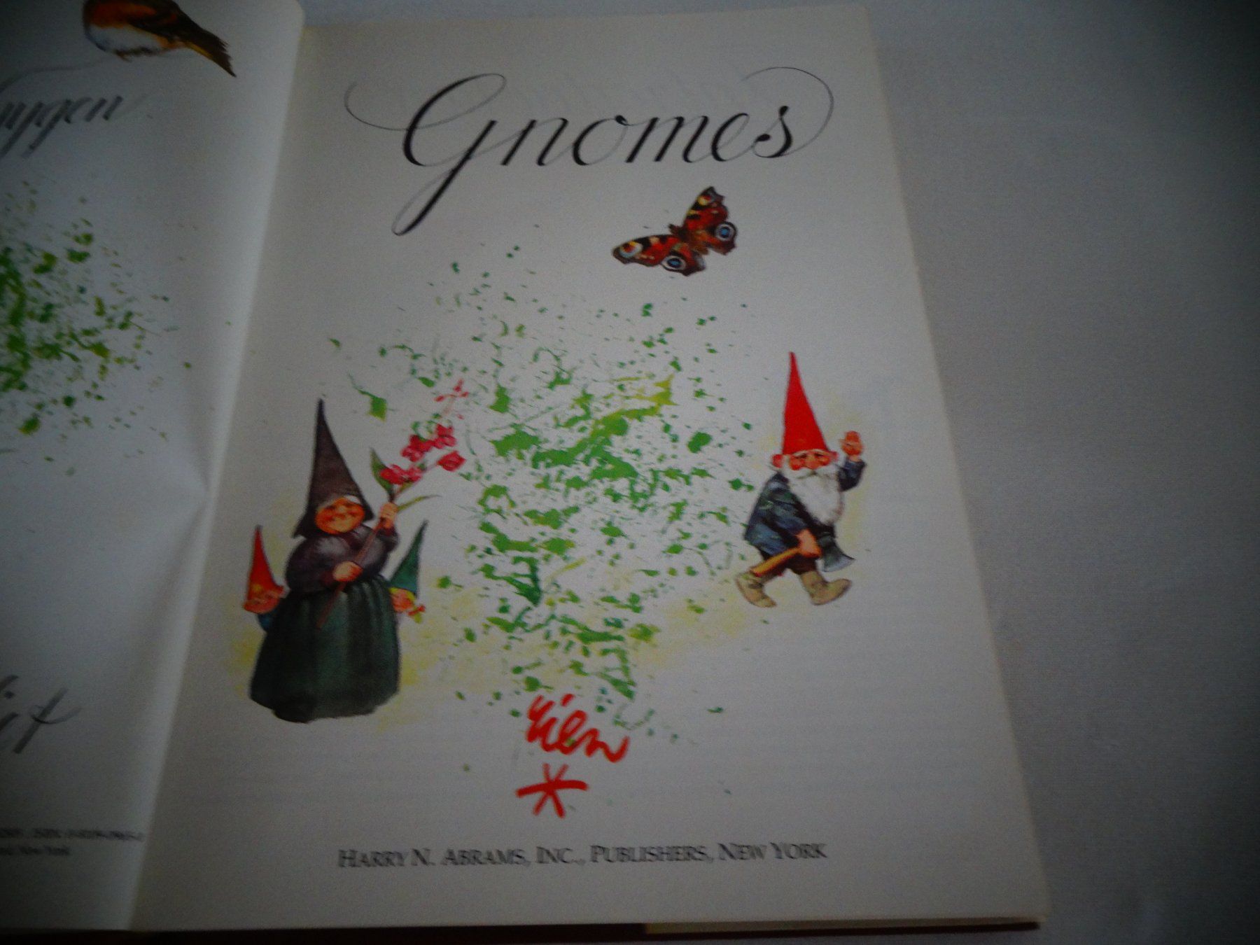 Bücher: Gnomes – Gebraucht aus Neerach von jenny062 3