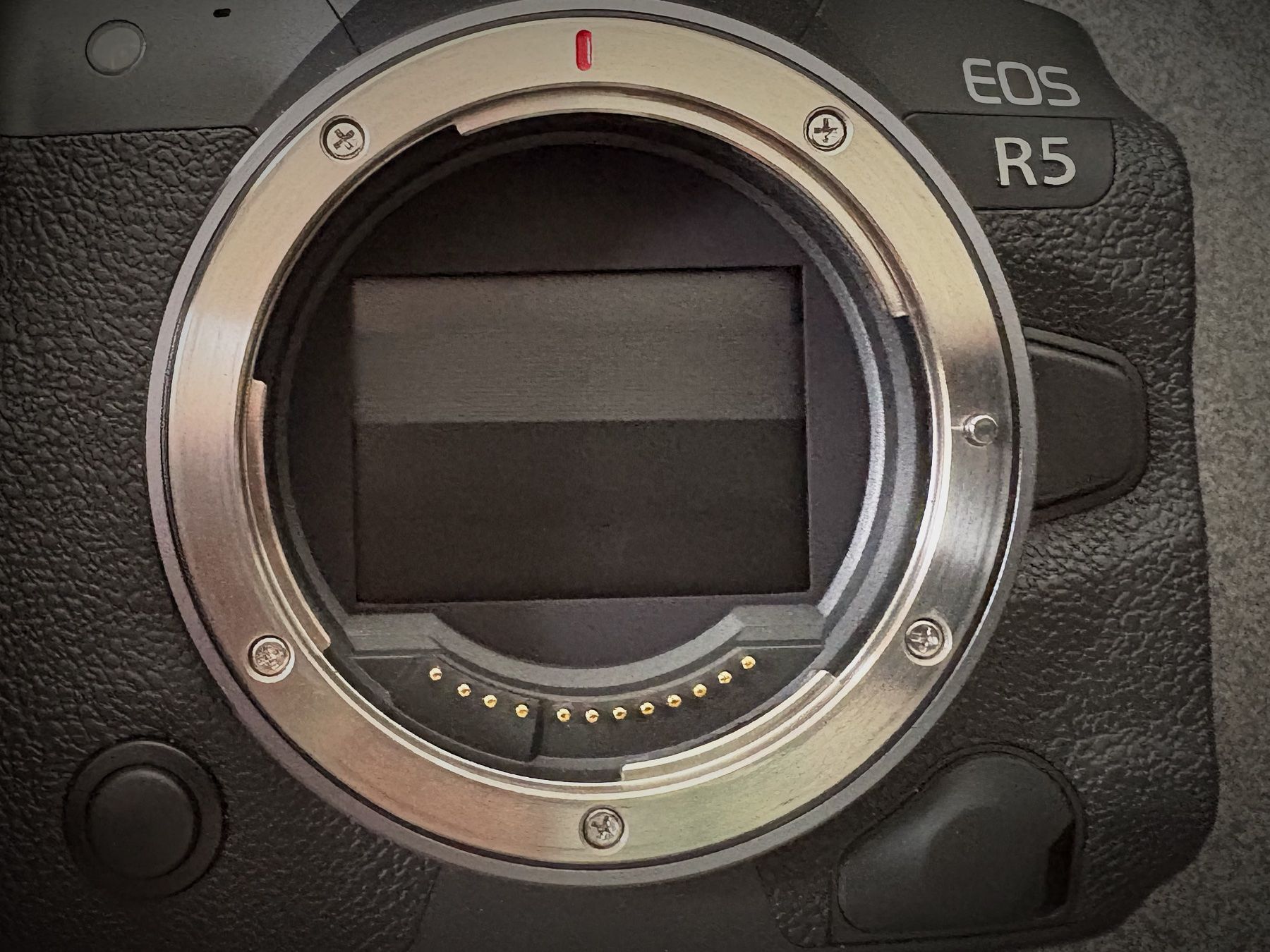 Canon Kamera: Canon EOS R5 - MIT RESTGARANTIE – Gebraucht aus Bottmingen von PAL_52 1