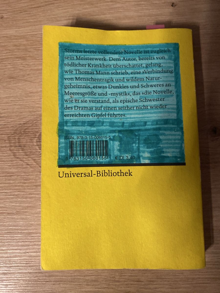 Libri: Der Schimmelreiter - Theodor Storm – Usato da Jegenstorf venduto da en_pir06 1