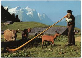 HASLIBERG BALISALP Alphornbläser - Ziegen