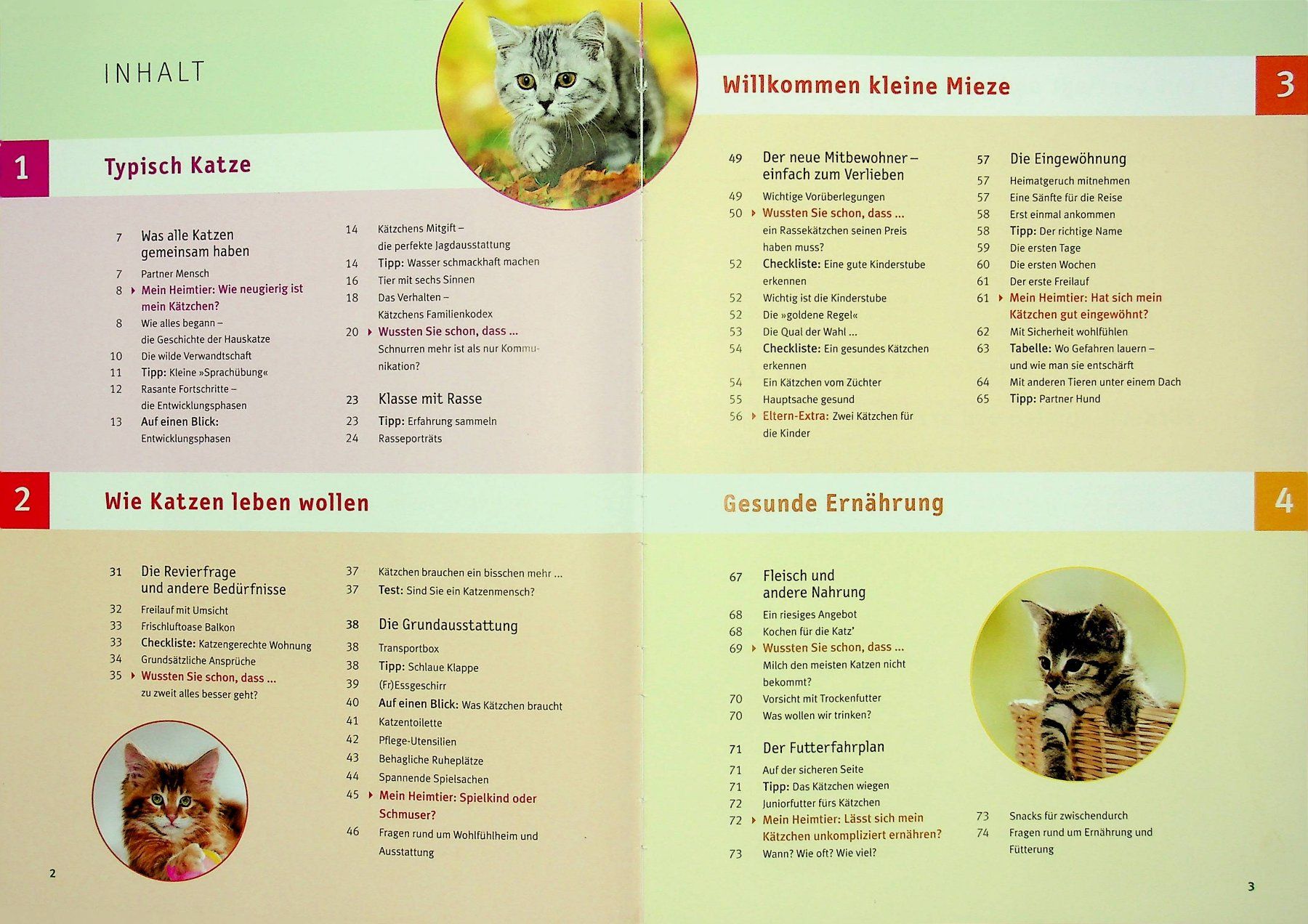 Libri: Brigitte Eilert-Overbeck Mein Kätzchen GU Verlag – Usato da Reitnau venduto da Zaomir 2